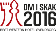 Skak-dm logo